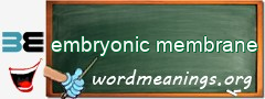 WordMeaning blackboard for embryonic membrane